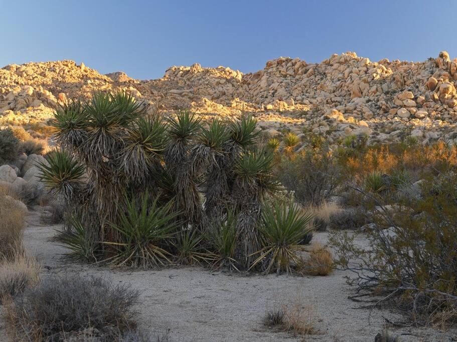 Panoramic Heaven - Luxury Designer Property W Spa Joshua Tree Εξωτερικό φωτογραφία
