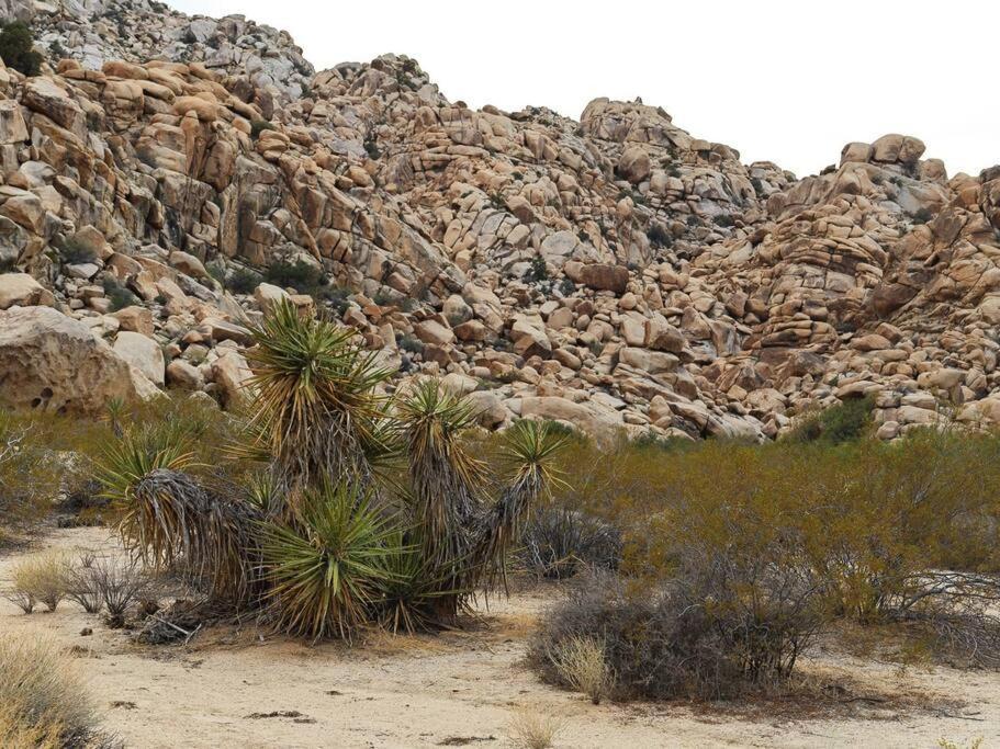 Panoramic Heaven - Luxury Designer Property W Spa Joshua Tree Εξωτερικό φωτογραφία