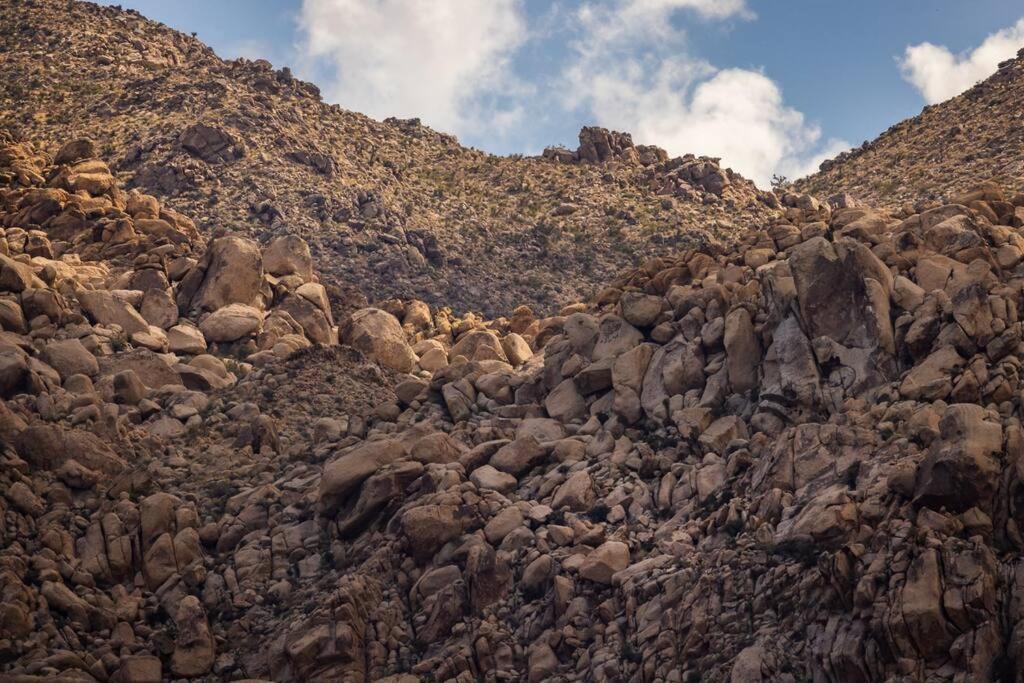 Panoramic Heaven - Luxury Designer Property W Spa Joshua Tree Εξωτερικό φωτογραφία